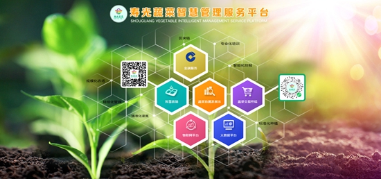 濰坊科技學院校辦企業環球軟件助力蔬菜交易走上“云端”，展現科技推廣與應用服務新高度